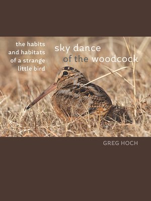 cover image of Sky Dance of the Woodcock